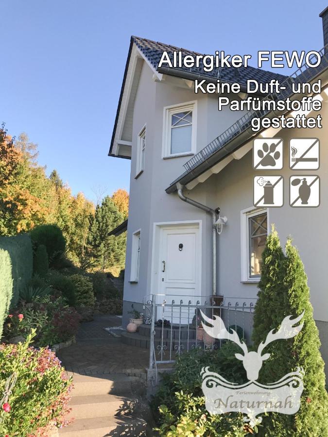 Duft- Und Parfuemfreie Allergiker-Fewo Mertendorf Luaran gambar
